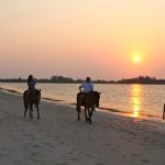 Watersports Beach Horses