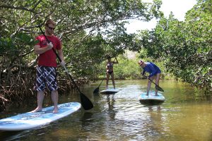 Watersports Paddleboard